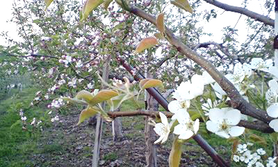 080429_01.jpg