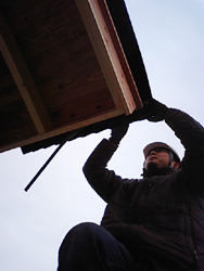 090309_yane.JPG