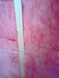 090320_dan4.JPG