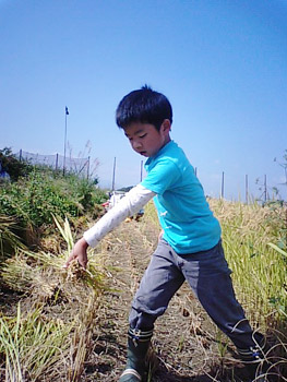 090927_zen.jpg