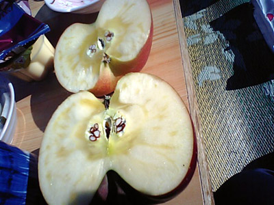 091112_4.JPG