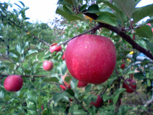 f_400.jpg